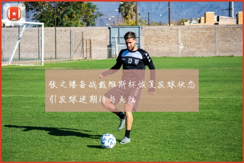张之臻备战戴维斯杯恢复发球状态引发球迷期待与关注